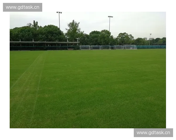 贵州省体育局官网全面升级优化 提供更加便捷的体育服务和信息展示